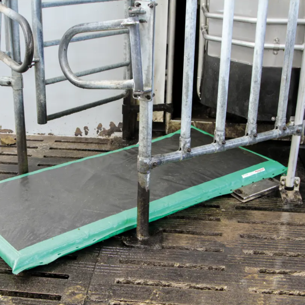 Skava AutoHoofClean paklāja nostiprināšanai